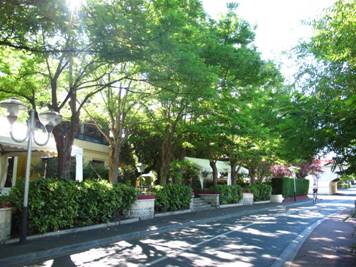 �o�@�ƾ𪺭I��N�O�@���\�U�C���B�֤F�A�άO��樮�j�F�A�]�i�H���U�𮧥𮧡A�ɥR�ɥR��O�C