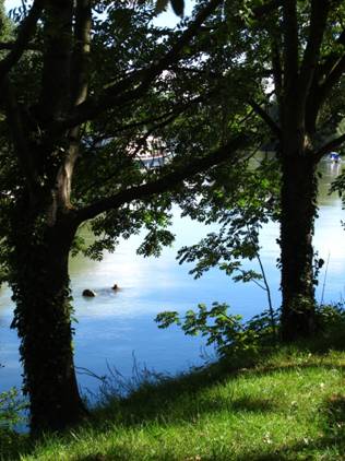 ���M�A�ڷQ�_�F�t�g�̭��@�y�ܡG